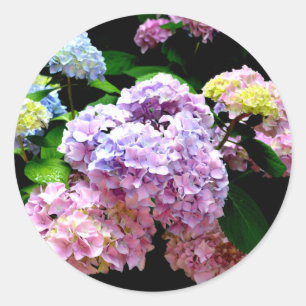 Adesivo Hydrangea Garden