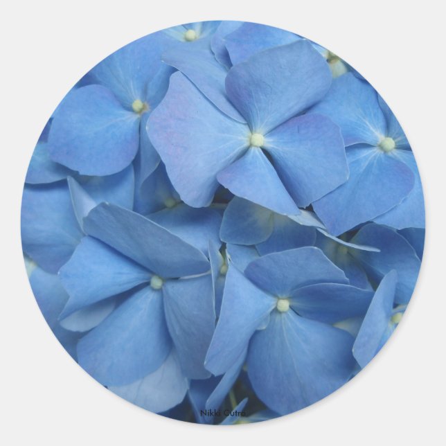Adesivo Hydrangea Sticker (Frente)