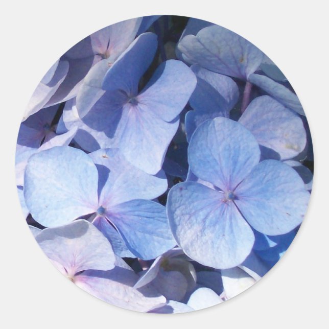 Adesivo Hydrangea Sticker (Frente)