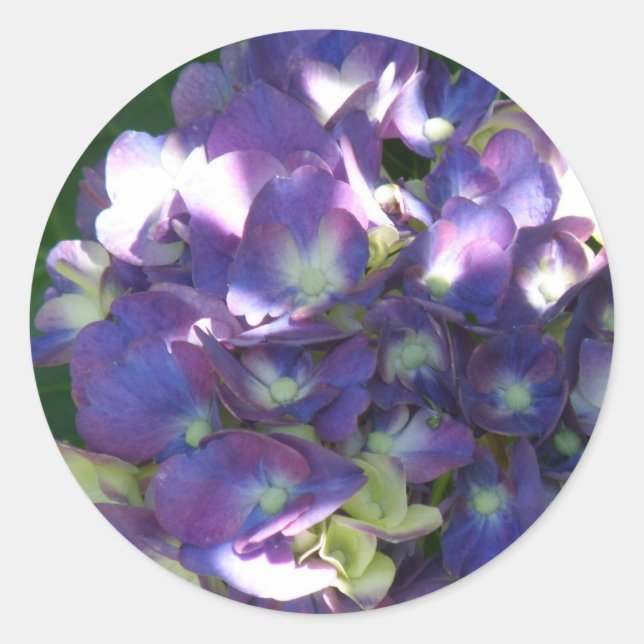 Adesivo Hydrangea Stickers (Frente)
