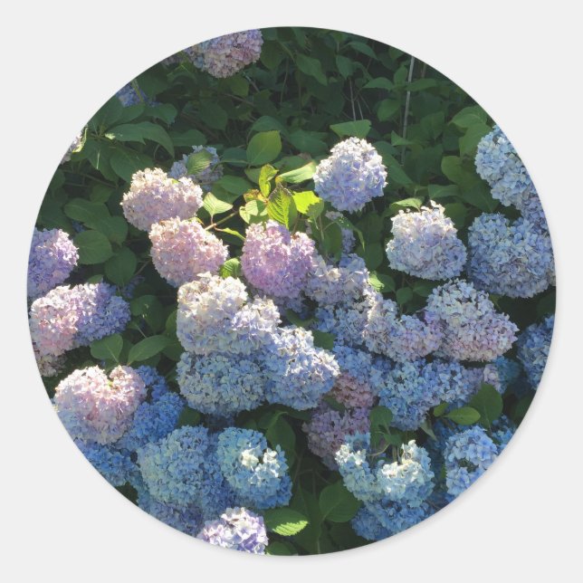 Adesivo Hydrangea Stickers Envelope Selos com Flores (Frente)