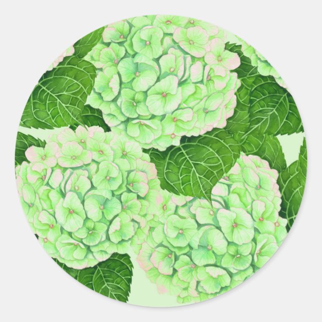 Adesivo Hydrangea watercolor (Frente)