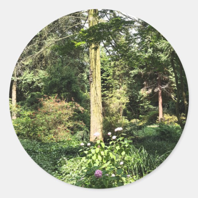 Adesivo Hydrangea Wood Tres Nature Fotografia (Frente)