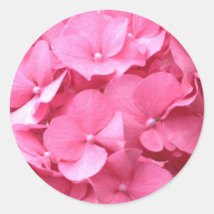 Adesivo Hydrangeas cor-de-rosa
