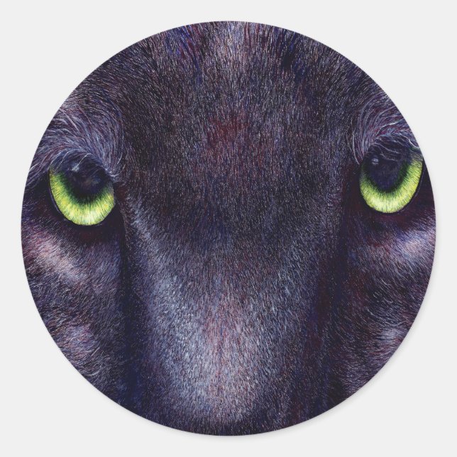 Adesivo Hyptnotist Stickers (Frente)