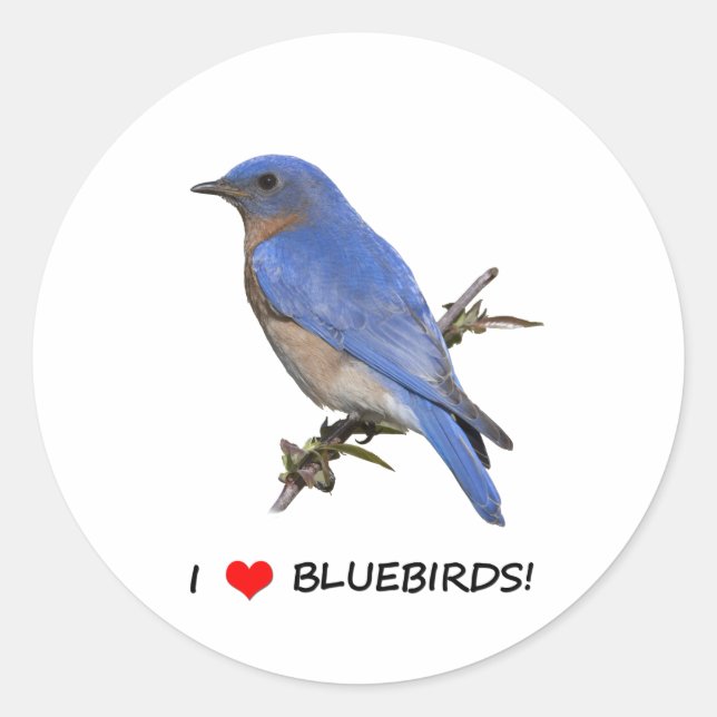 Adesivo I Love (coração) Bluebird (Frente)