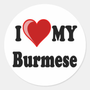 Adesivo I Love (Heart) My Burmese Cat