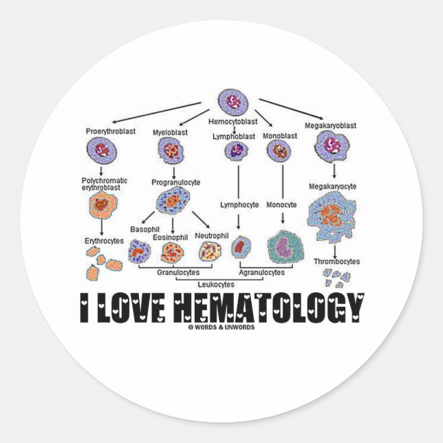 Adesivo I Love Hematology (Linhagem De Células Sanguíneas) (Frente)