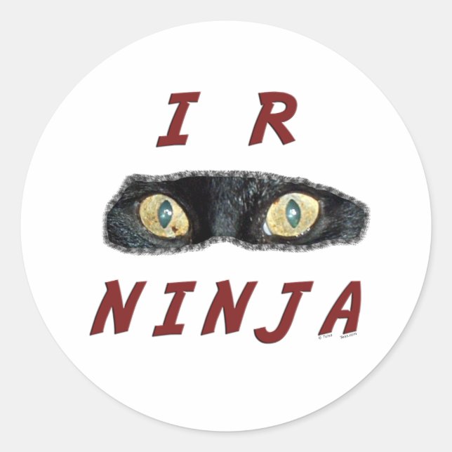 Adesivo I-R-Ninja Stickers (Frente)