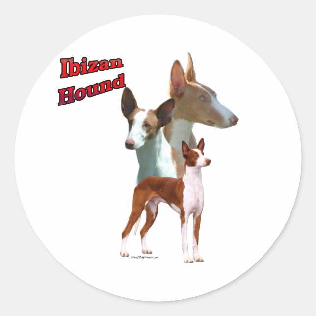 Adesivo Ibizan Hound Trio 2 - Sticker (Frente)