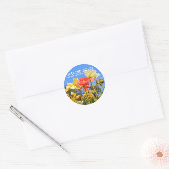 Adesivo Iceland Poppy (Envelope)
