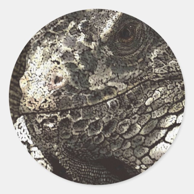 Adesivo Iguana (Frente)
