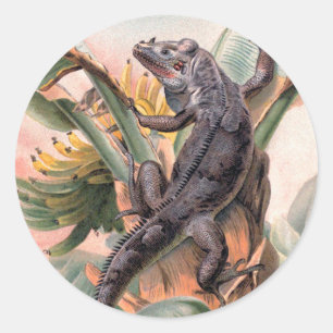 Adesivo Iguana Preta Tropical, Réptil Animal Selvagem Vint