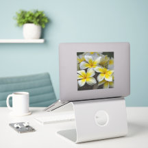 Ilha em Flor – Plumeria Amarela
