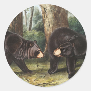 Adesivo Ilustração Americana do Urso Negro Americano