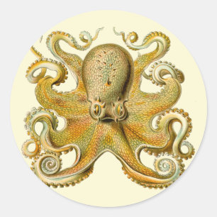 Adesivo Ilustração antiga de polvo monstro marinho