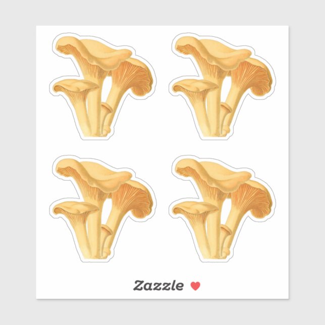 Adesivo Ilustração Botânica de Chanterelle Mushroom (Folha)