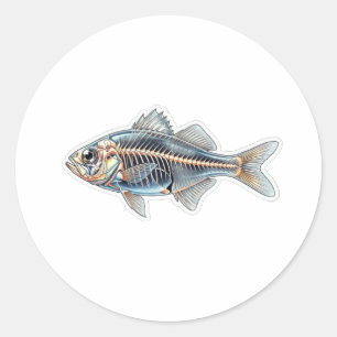 Adesivo Ilustração Científica Transparente de Peixe-Vidro