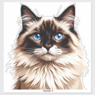 Adesivo Ilustração Colorida de Gato Siames