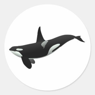 Adesivo Ilustração da baleia Orca - Escolher cor de fund