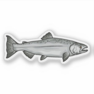 Adesivo Ilustração da Fase Oceânica de Salmão Chinook