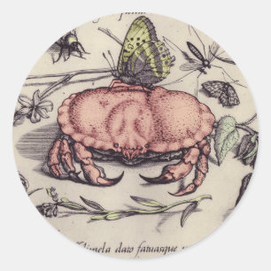 Adesivo Ilustração da Flor Botânica do Caranguejo