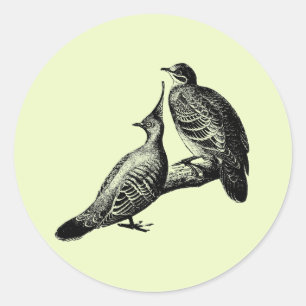 Adesivo ilustração da natureza das aves pombas animais s