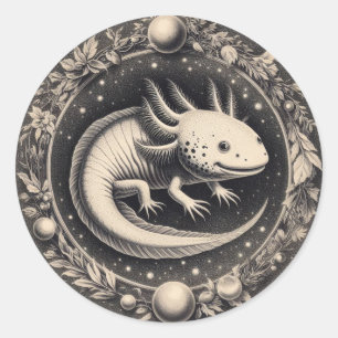 Adesivo Ilustração da Vintagem Axolotl História Natural