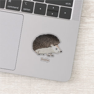 Adesivo Ilustração de desenho animado de ouriço picante