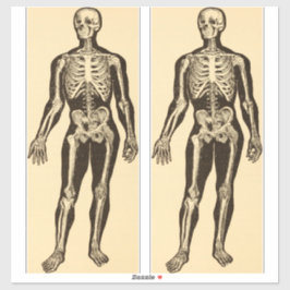 Adesivo Ilustração de esqueleto de safra antiga
