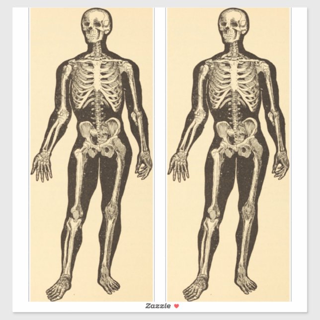 Adesivo Ilustração de esqueleto de safra antiga (Folha)