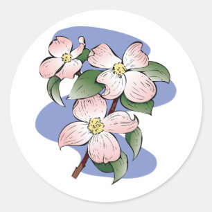 Adesivo Ilustração de florescência vermelha do Dogwood