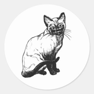 Adesivo Ilustração de gatinho fofo gato preto e branco