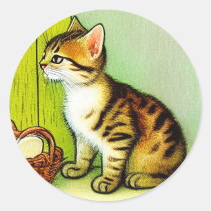 Adesivo Ilustração de Gato de Tabby de Vintage