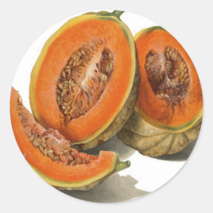 Adesivo Ilustração de melão cantaloupe fatiada