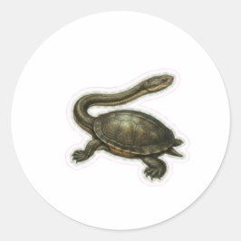 Adesivo Ilustração de Tartaruga de Pescoço de Cobra - Aquá