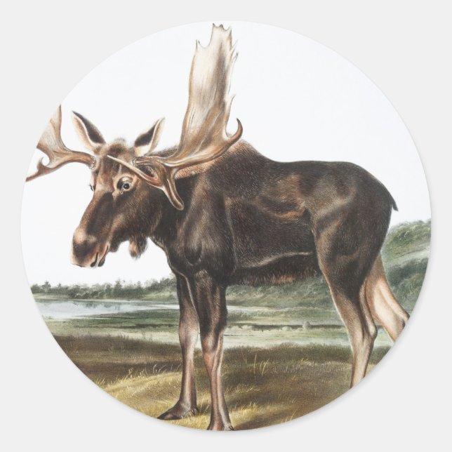 Adesivo Ilustração de veado de alces servo (Frente)
