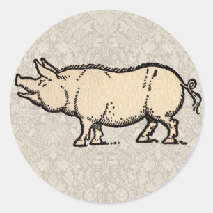 Adesivo Ilustração de Vintagem de Porte de Porco Antiguo