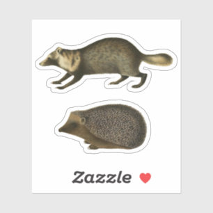 Adesivo Ilustração de Vintagem Realista de Hedgehog e Mart