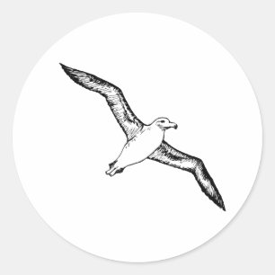 Adesivo Ilustração do albatroz do vôo