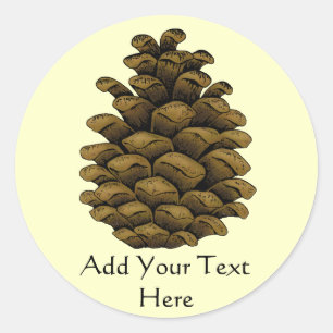 Adesivo Ilustração do cone do pinho