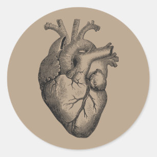 Adesivo Ilustração do coração do vintage