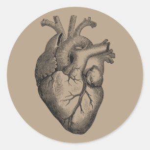 Adesivo Ilustração do Coração Vintage