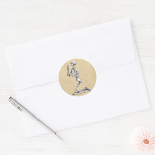 Adesivo Ilustração do esqueleto da anatomia