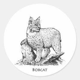 Adesivo Ilustração do lince
