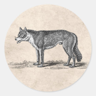 Adesivo Ilustração do lobo do vintage - modelo dos lobos