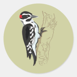 Adesivo Ilustração do pica-pau