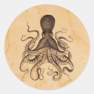 Adesivo Ilustração do polvo do vintage nos marrons