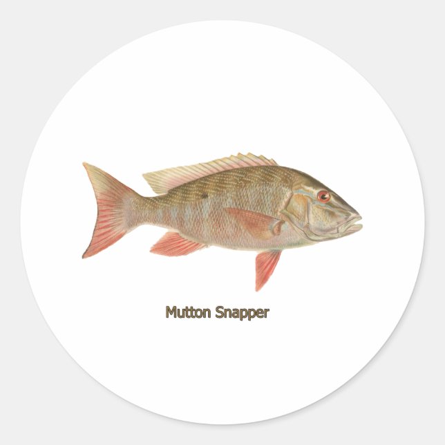 Adesivo Ilustração do Snapper Mutton (Frente)