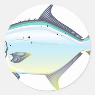 Adesivo Ilustração do vetor de peixe Pompano Florida